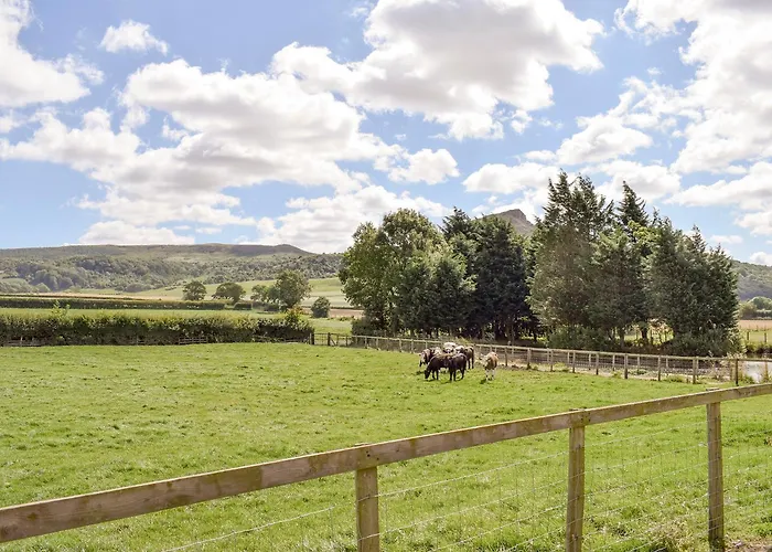 The Stables بيت للعطل *